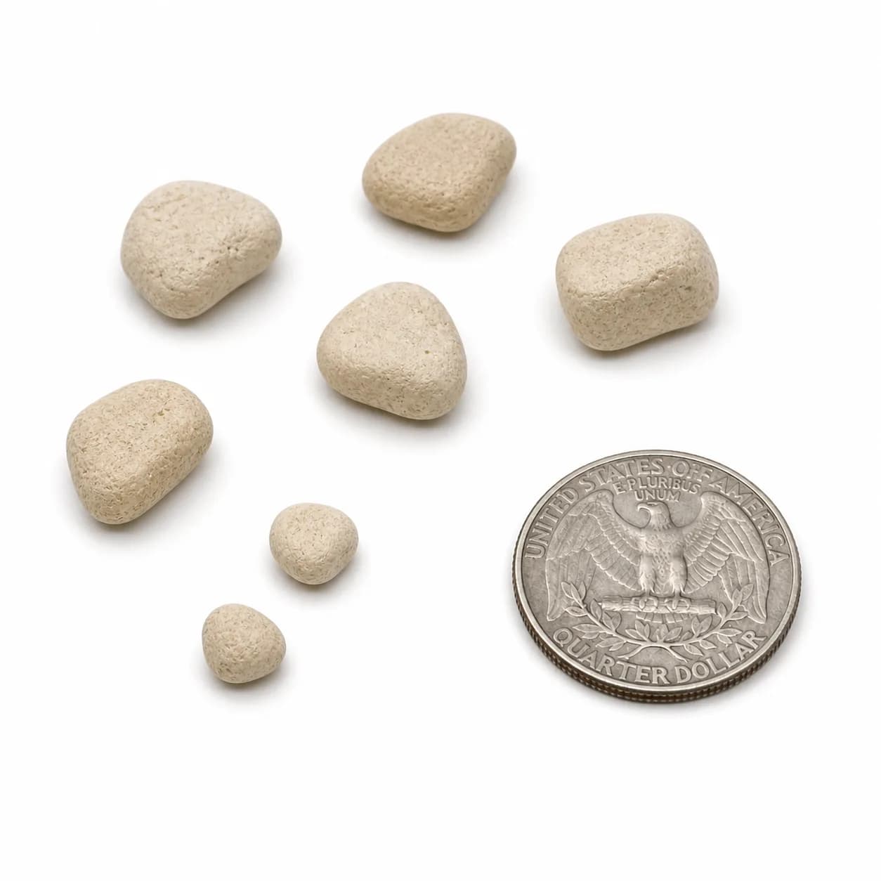 Five off white rounded tumbling nuggets arranged beside a US quarter